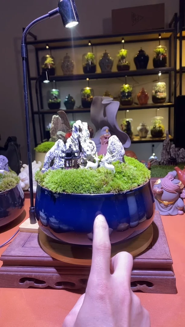 吉鑫福利精选福力