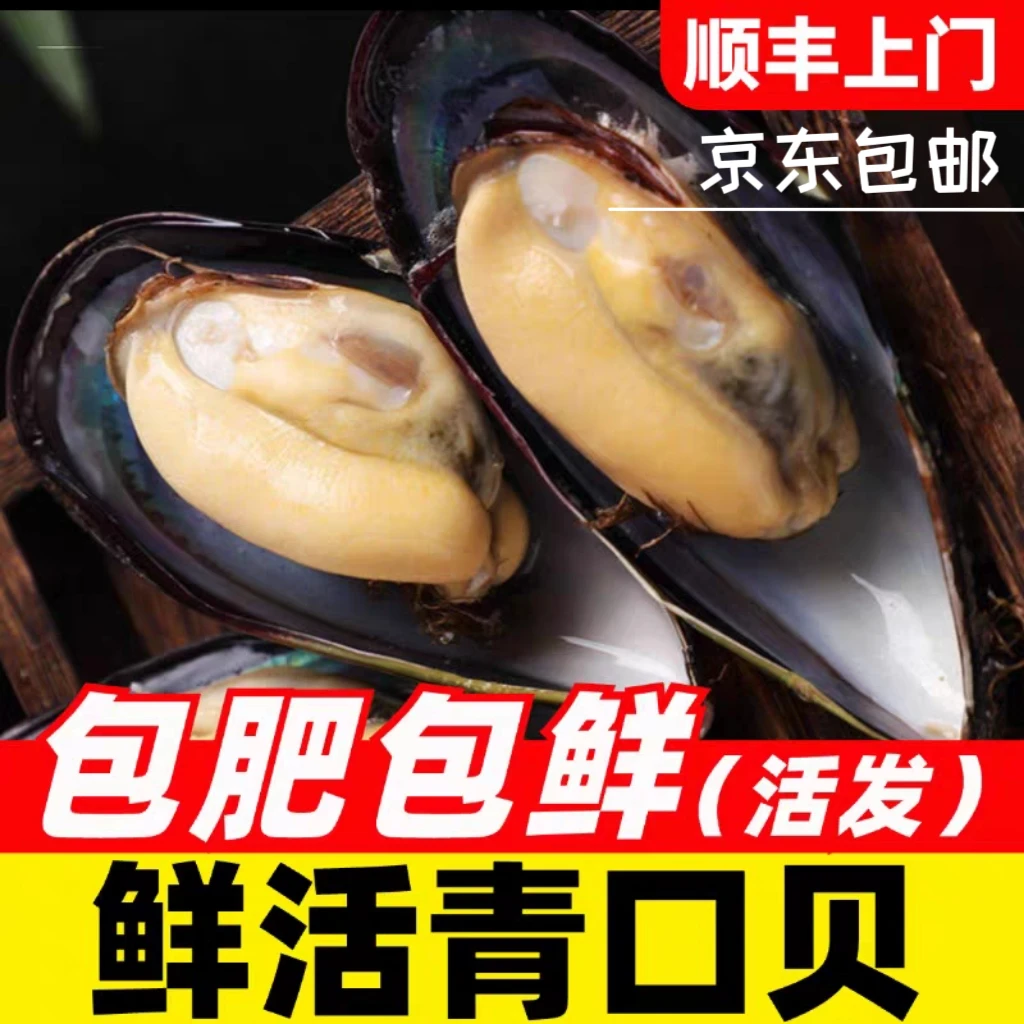 青口鲜活当天捕捞整箱野生海虹批发无沙新鲜贻贝淡菜贝类海鲜水产