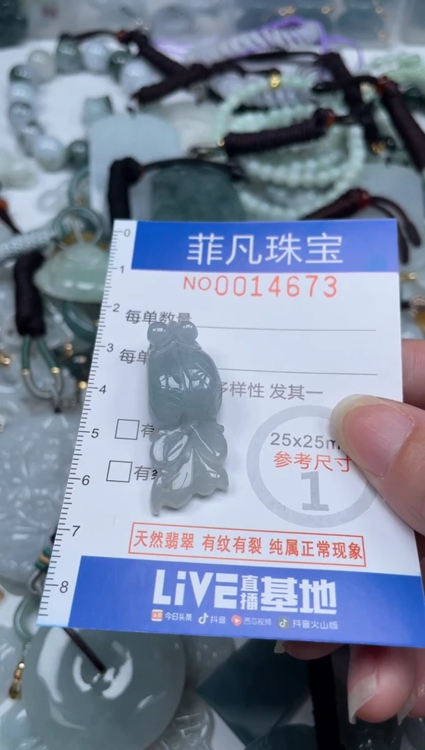 颈饰未镶嵌翡翠14673