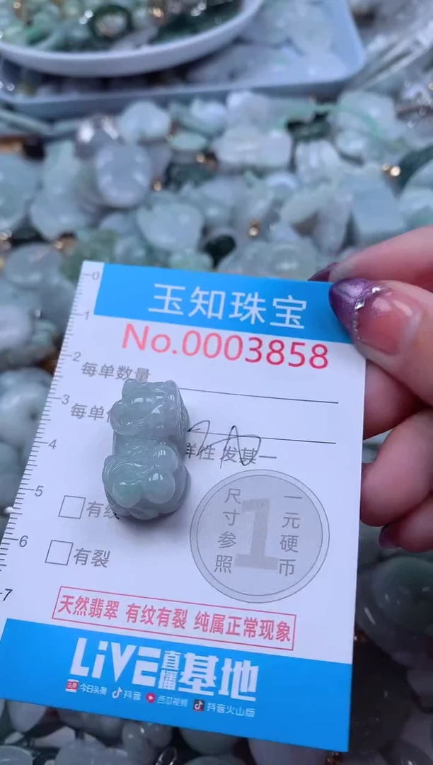 翡翠未镶嵌吊坠(不含链)3858