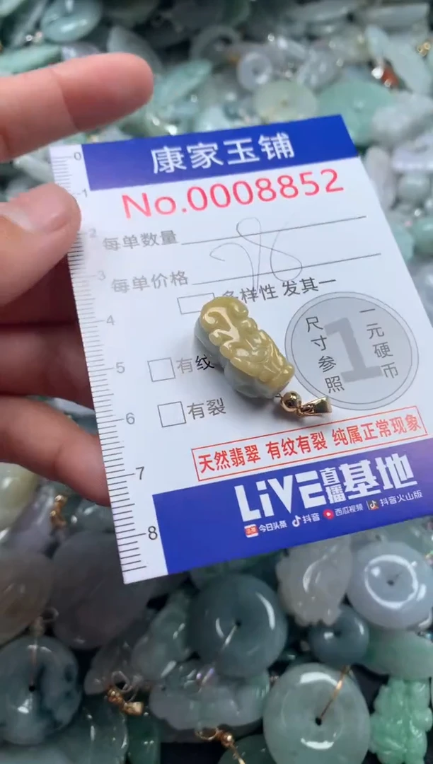 颈饰未镶嵌翡翠8852