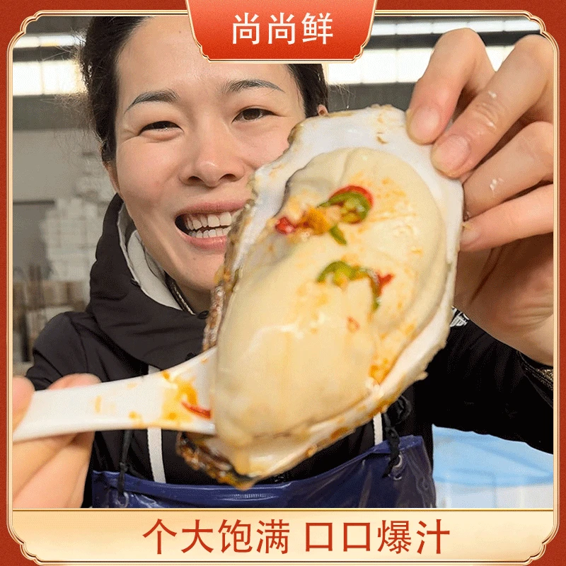 北方深海生蚝 山东冷水牡蛎现捞现发 营养美味轻食露营5/10斤