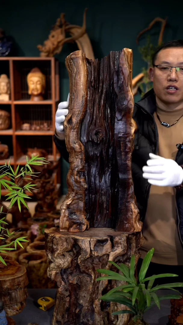 木雷击枣木半壁江山