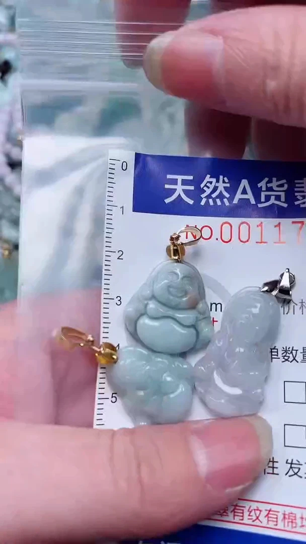 翡翠未镶嵌吊坠(赠链)1