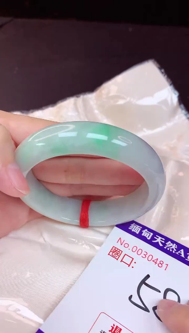 未镶嵌手镯翡翠58