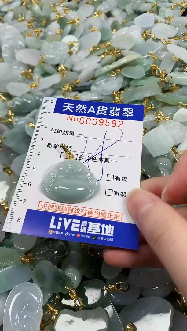 颈饰未镶嵌翡翠纯天然a货翡翠