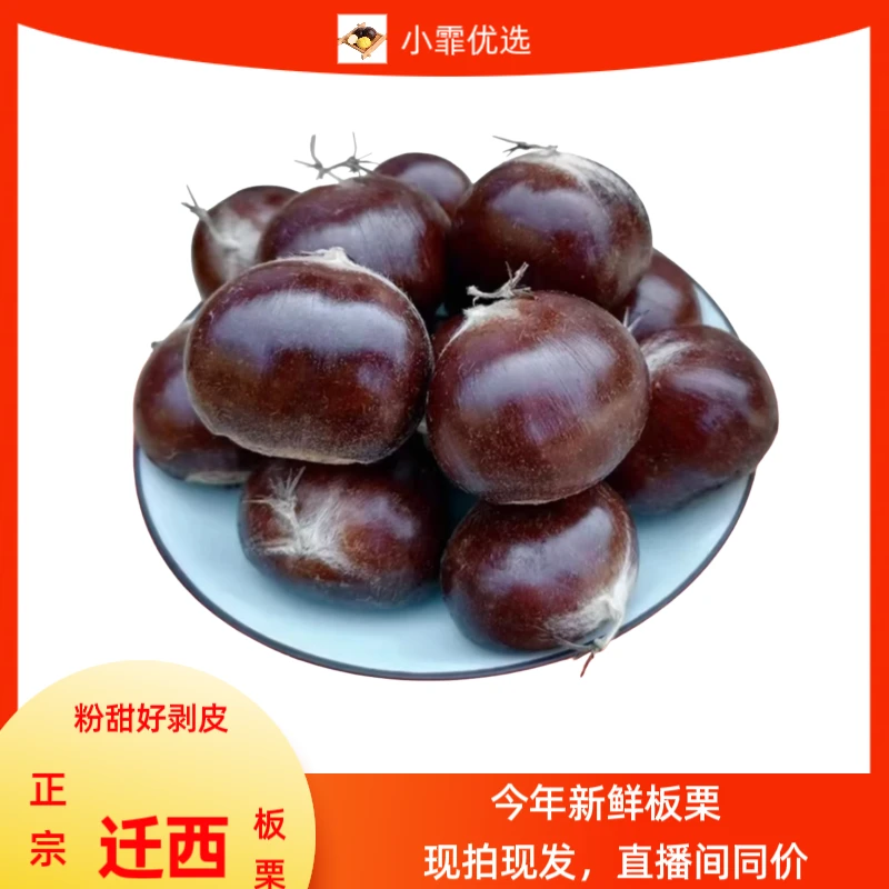 新鲜生板栗大果正宗迁西饱满香甜软糯包邮坏果包赔每斤55-60粒