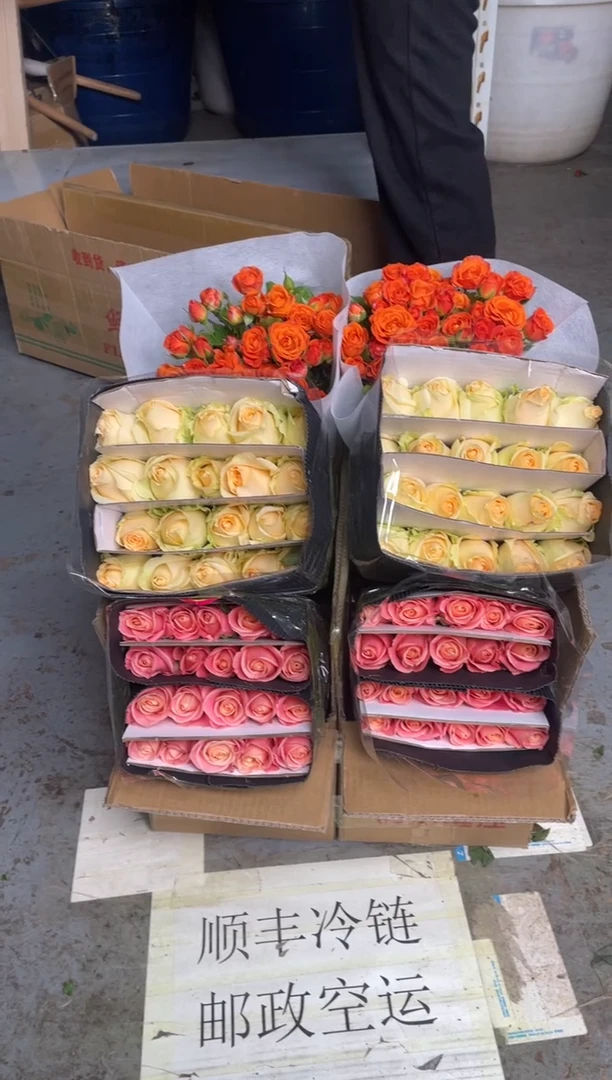 朱小姐20枝+香槟20枝+橙色芭比10枝