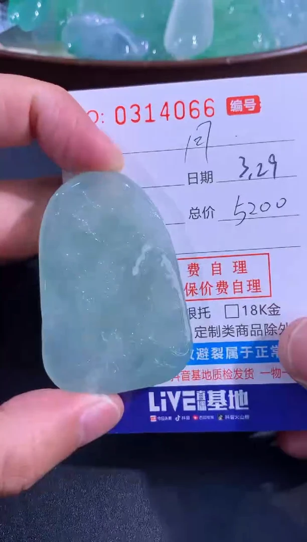 翡翠未镶嵌颈饰月
