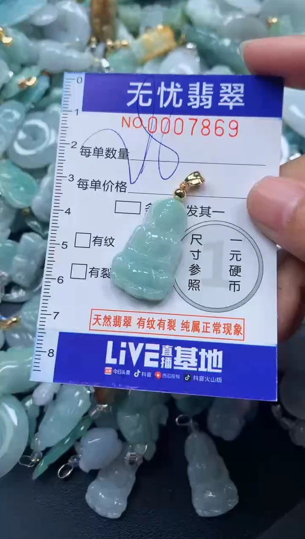颈饰未镶嵌翡翠7869