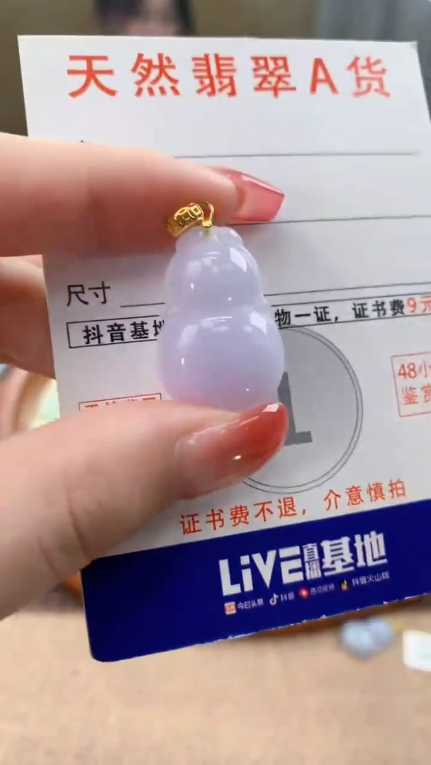 颈饰未镶嵌翡翠天然A货翡翠挂件