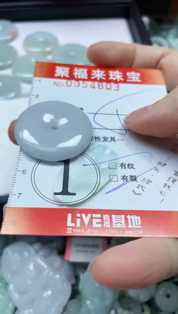 【闪购商品】翡翠颈饰未镶嵌闪购0054803