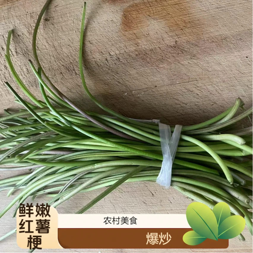 【红薯梗】安徽发货新鲜红薯梗泡沫箱加冰发货