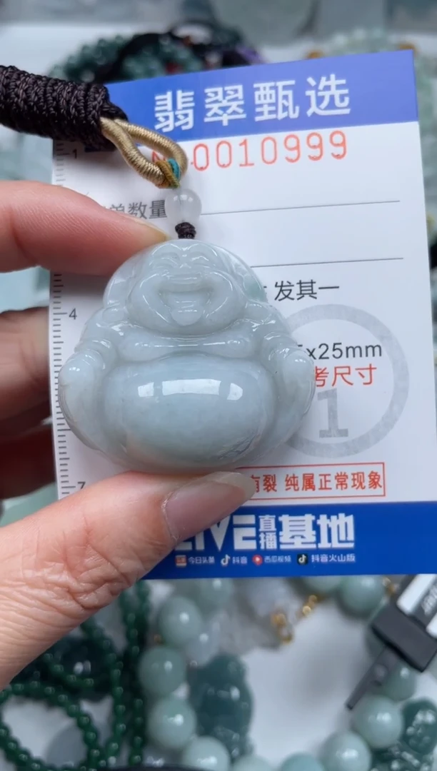 颈饰未镶嵌翡翠10999