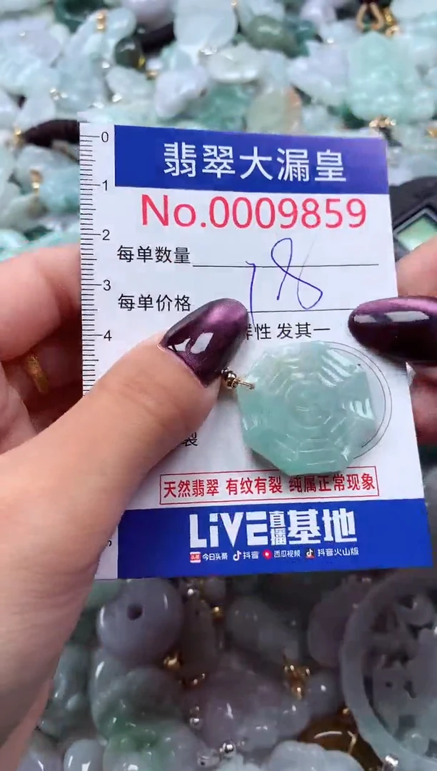 颈饰未镶嵌翡翠9859