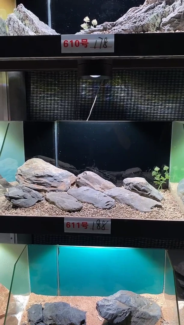 611号鱼缸造景（不含底砂）