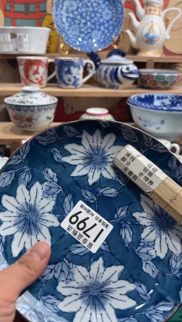 瓷片---------I799