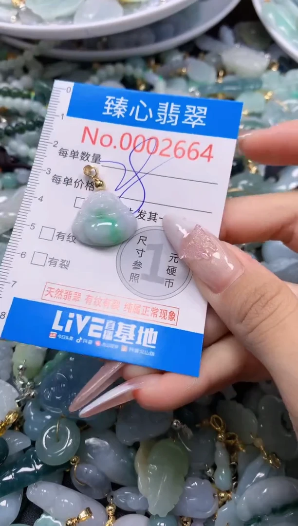 翡翠未镶嵌吊坠(不含链)2664