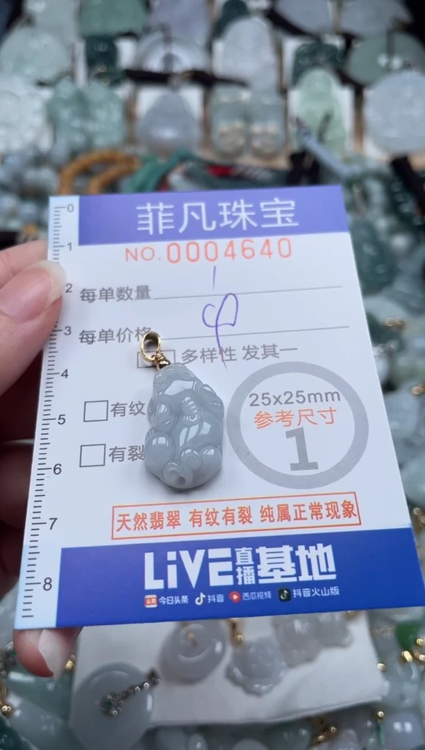 翡翠未镶嵌颈饰00..4640