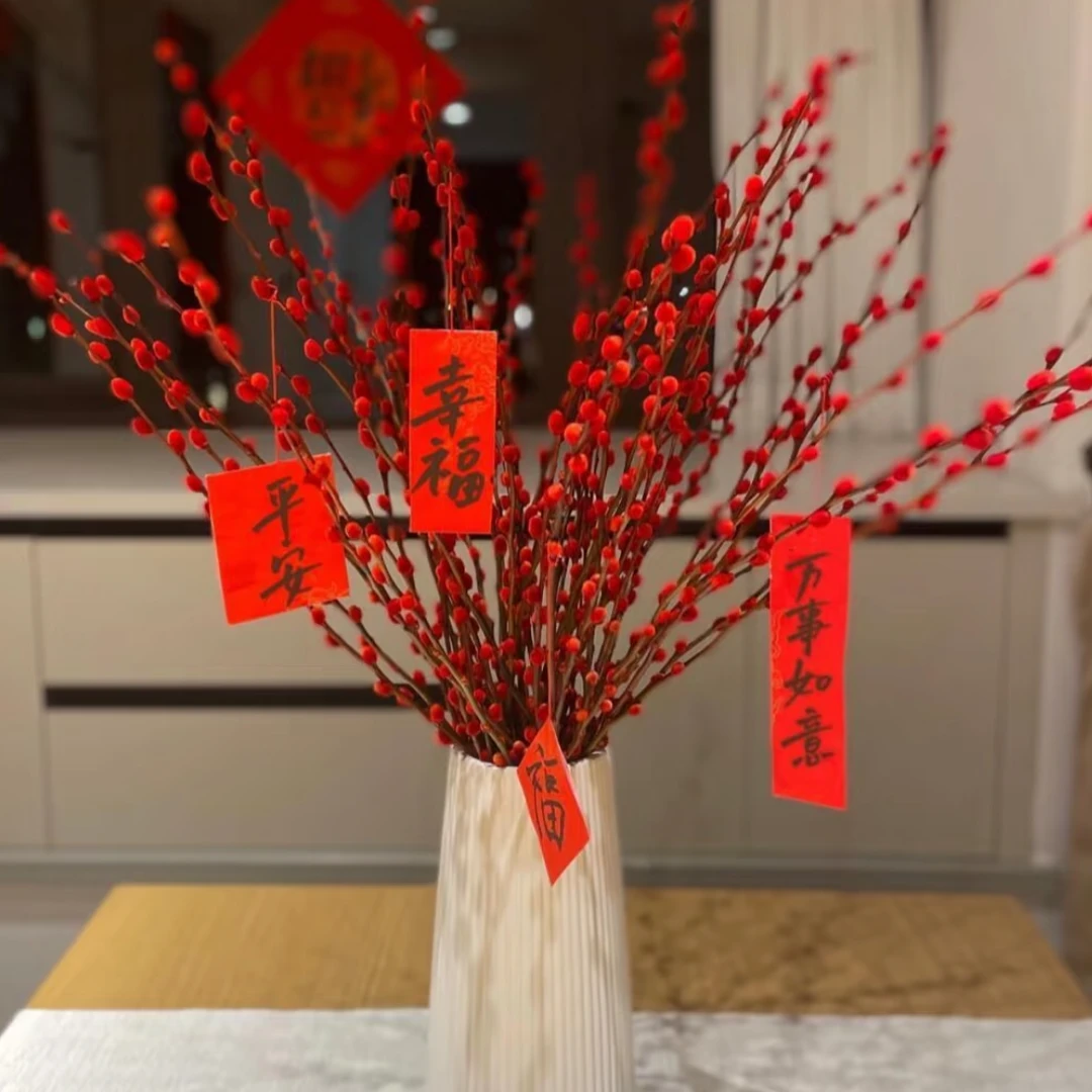 【源头优选】银柳-任意2单鲜花包邮 发货后不支持退款