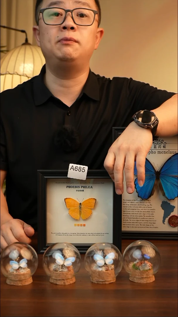 杏菲粉蝶真蝴蝶标本A685