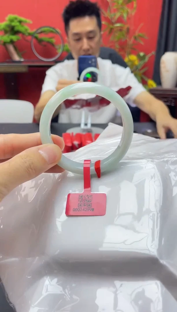 未镶嵌手镯翡翠2