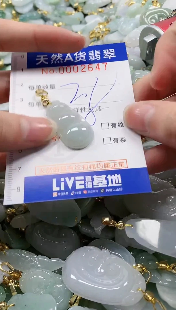 颈饰未镶嵌翡翠纯天然a货翡翠