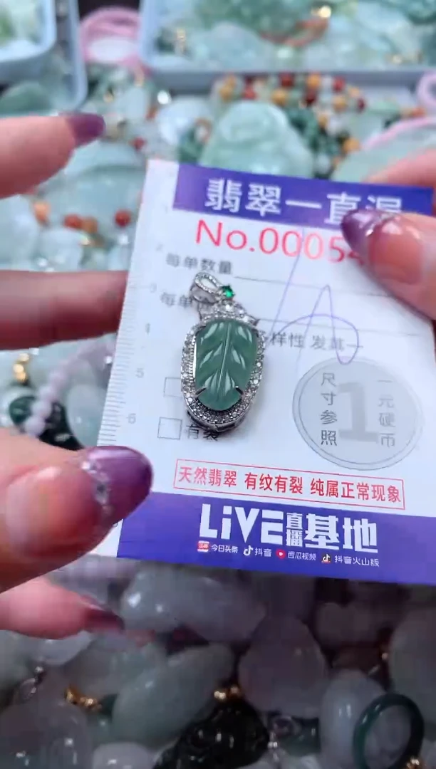 翡翠未镶嵌吊坠(不含链)5441