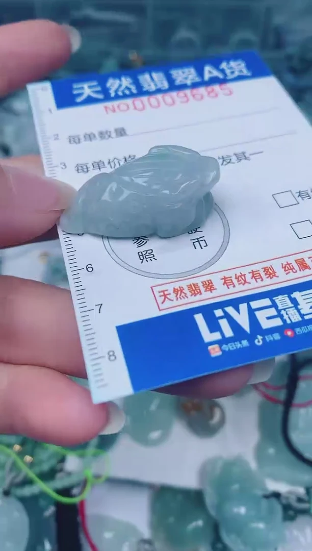 颈饰未镶嵌翡翠00009685