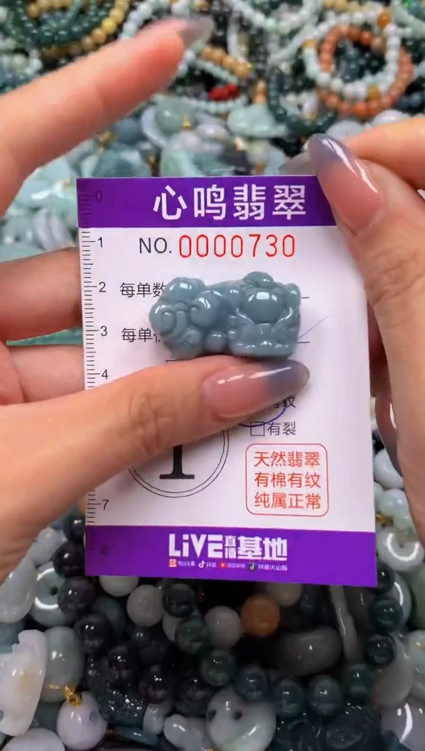 颈饰未镶嵌翡翠闪购00730