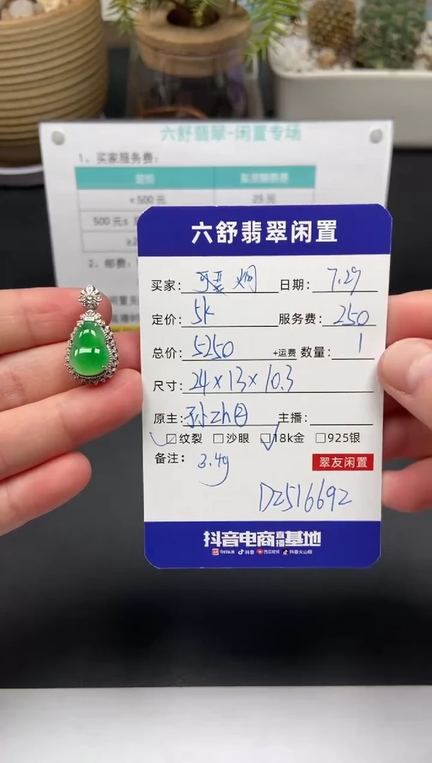 翡翠18K金镶嵌颈饰炯****gD2516692