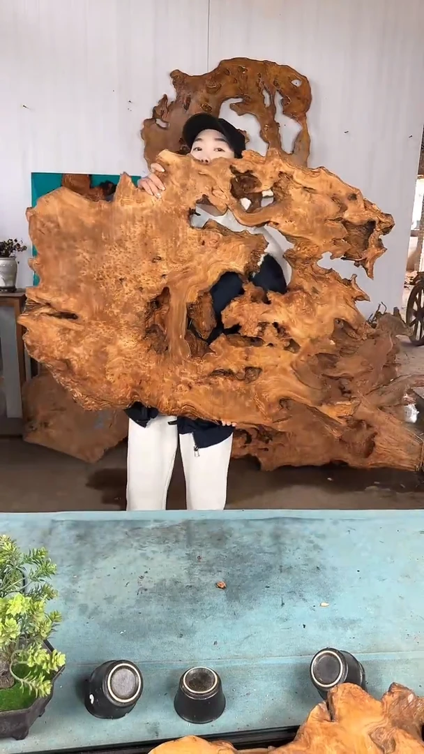 【闪购商品】香杉木木艺杉木瘤随型【原料】038