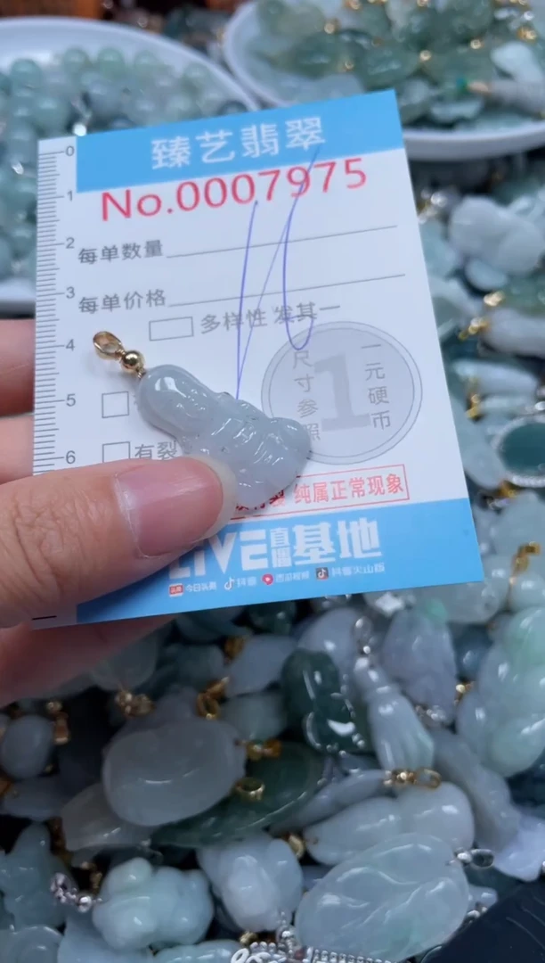 颈饰未镶嵌翡翠7975