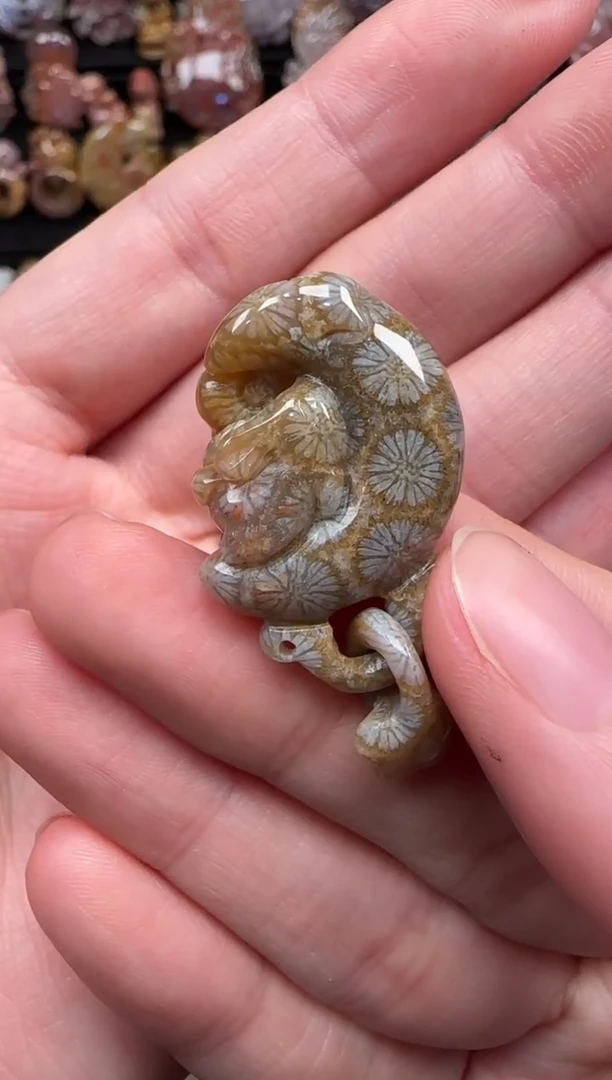 颈饰未镶嵌硅化珊瑚（珊瑚玉）673