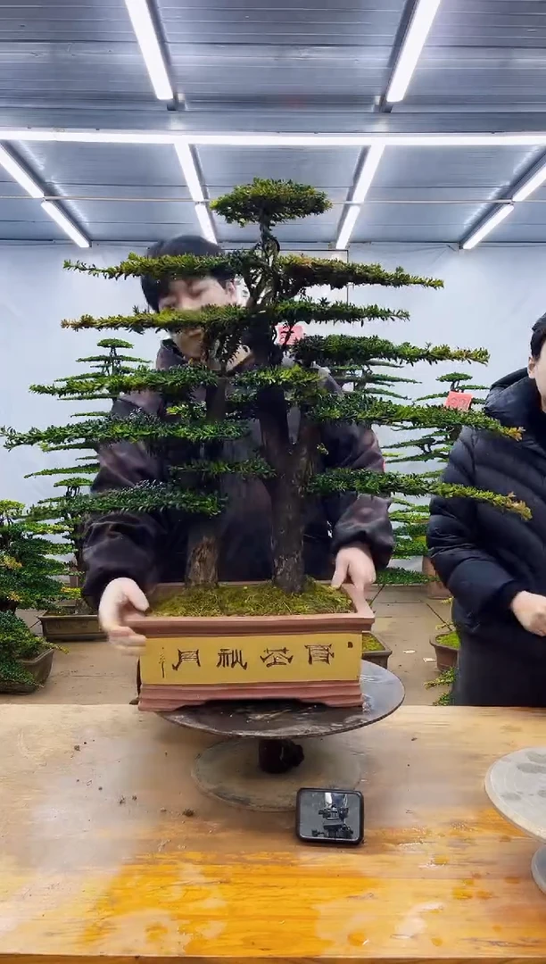 无花朵一物一拍·所见即所得