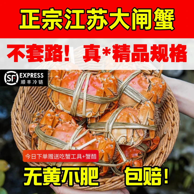 【活蟹】母蟹2.2-2.0两*8-10只 江苏固城湖大闸蟹 去绳称重 蟹农现捞 顺丰直发 中秋国庆自吃必备直播专享