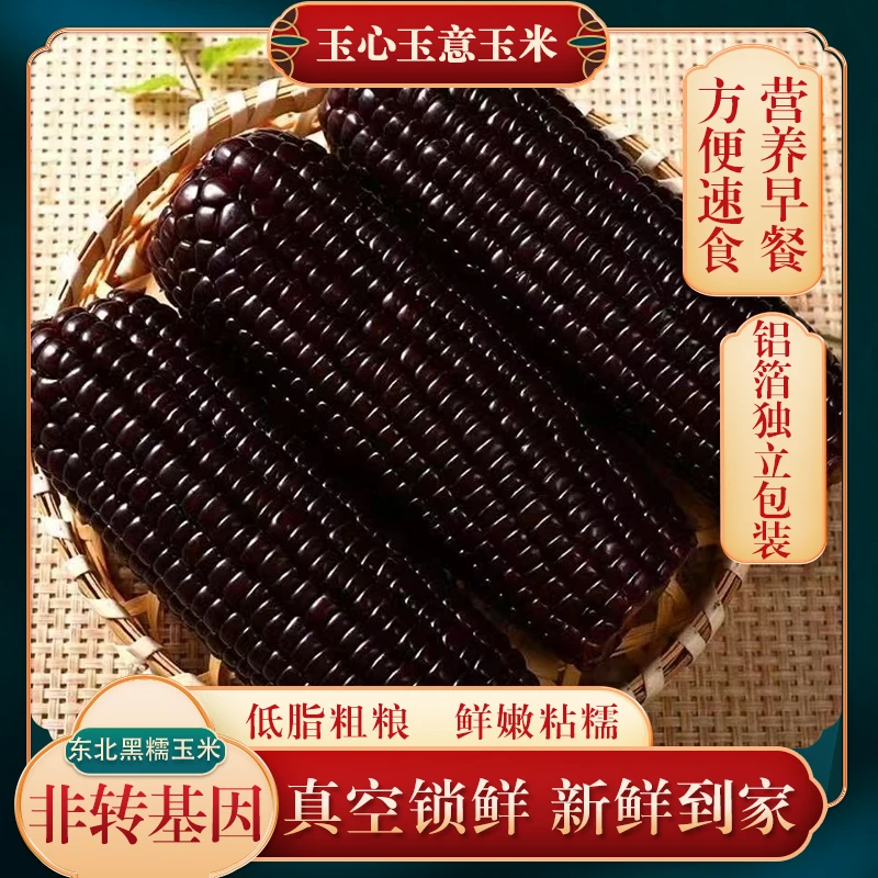 【整箱5斤】【透明包装】东北黑糯玉米新鲜采摘香甜软糯10支