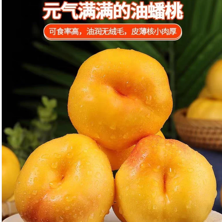 【京东快递 鲜桃】黄金油蟠桃7号 脆软俩吃露天成熟果肉多 现摘现发