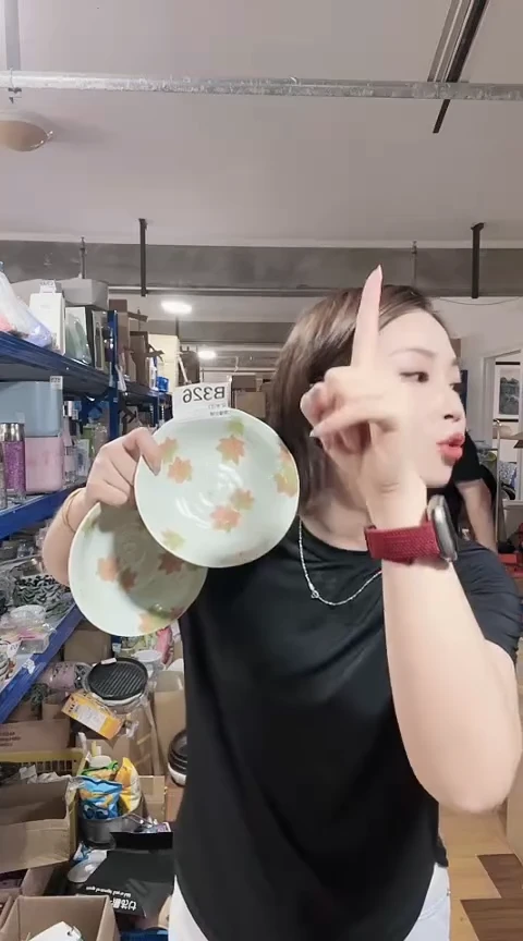 瓷片全新高端瓷器两只装16cm盘B326