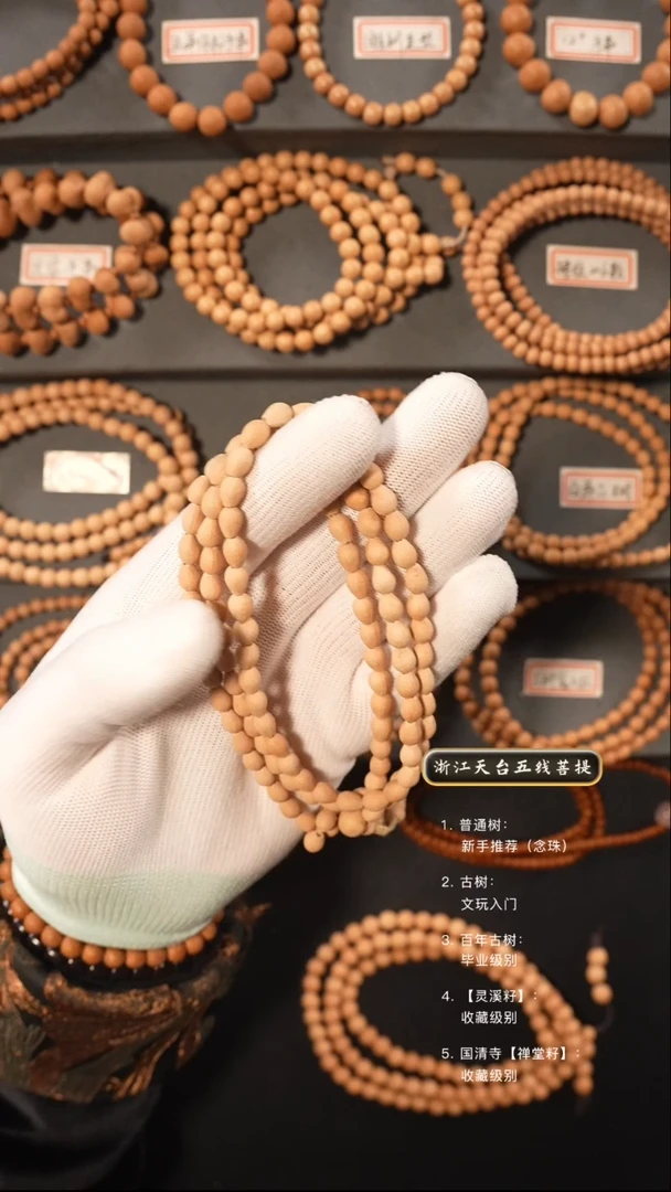 【闪购商品】五线菩提吊坠原皮脖挂