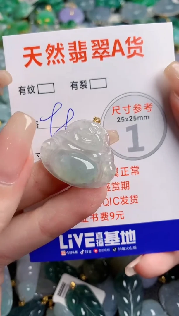 翡翠18K金镶嵌颈饰23000193