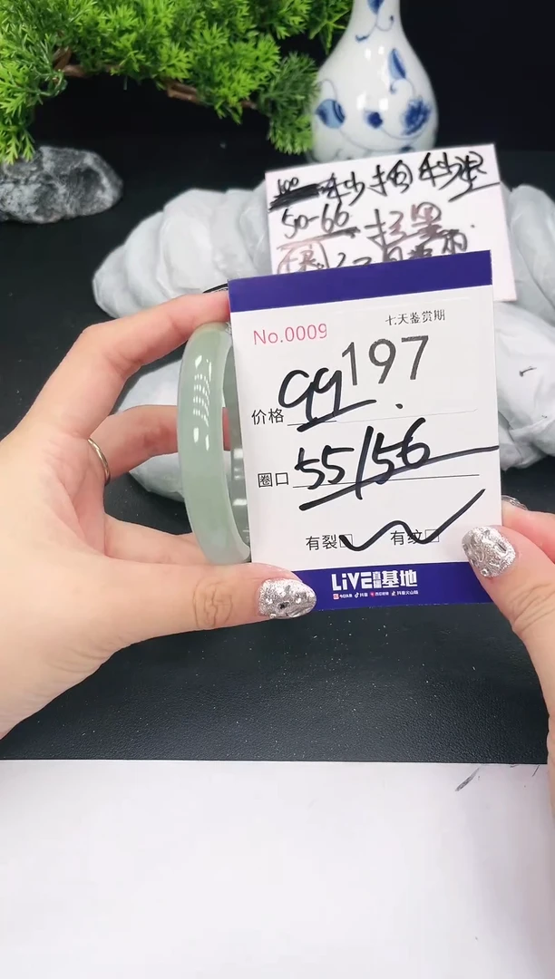 未镶嵌手镯翡翠197