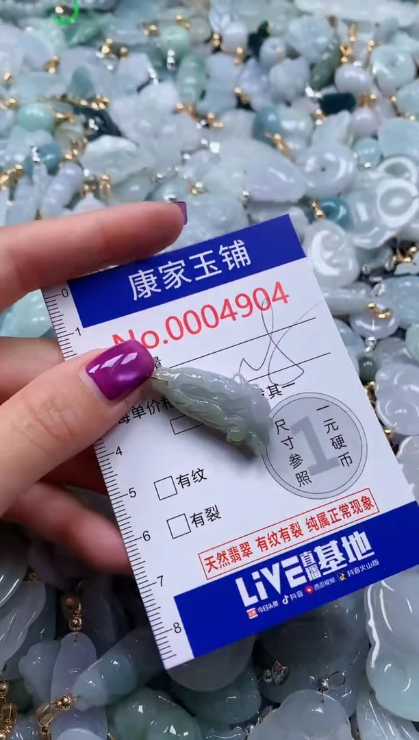 颈饰未镶嵌翡翠4904