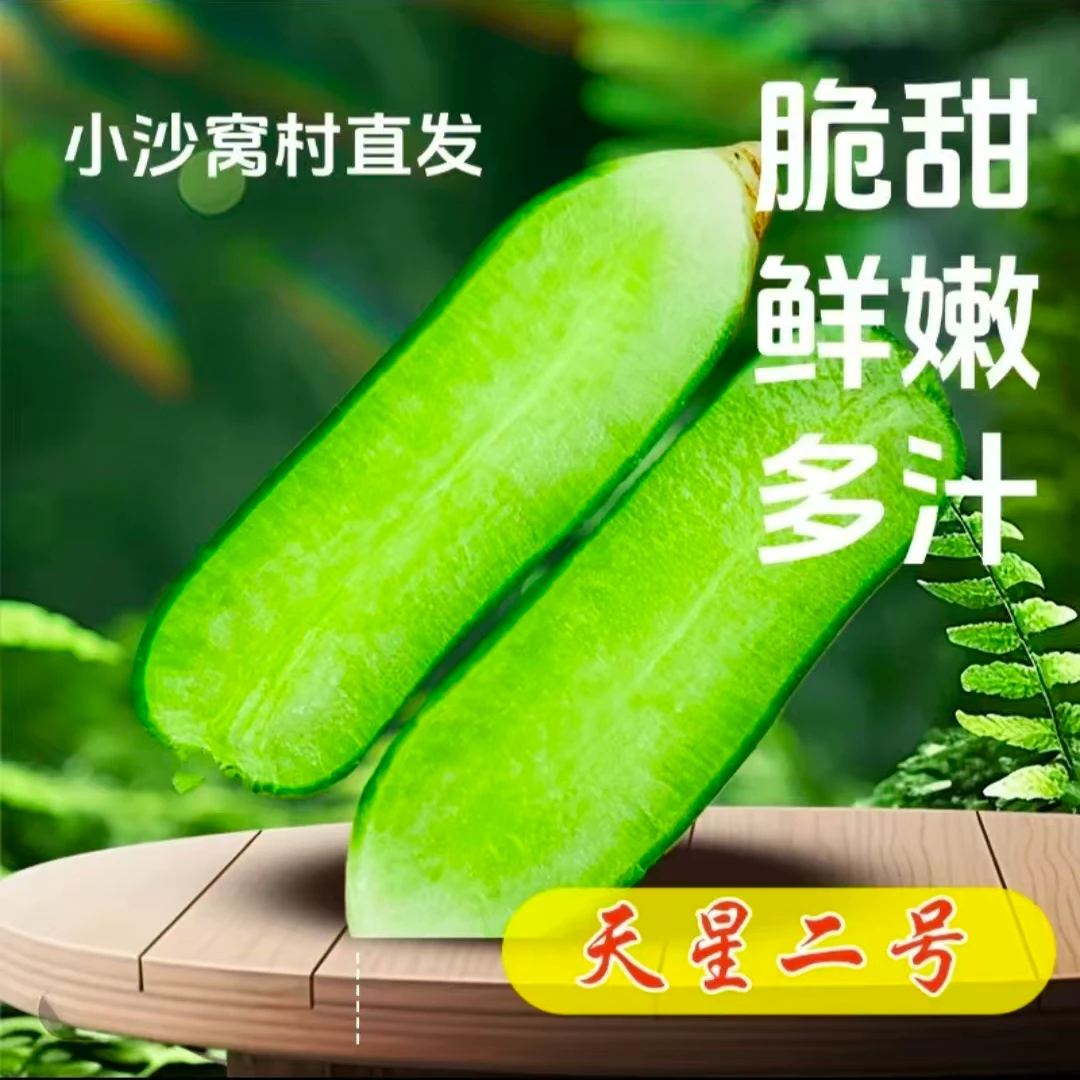 天津沙窝萝卜现挖现发5斤9斤