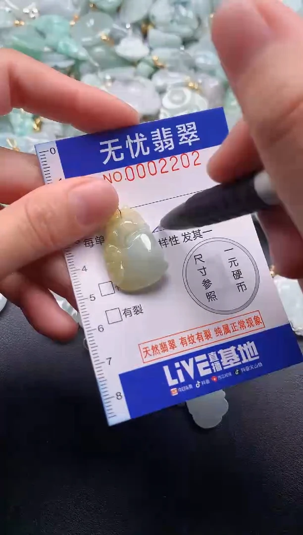 颈饰未镶嵌翡翠2202