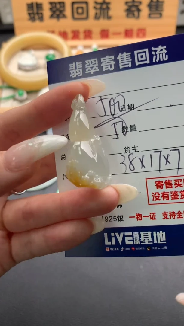 翡翠未镶嵌颈饰10138574