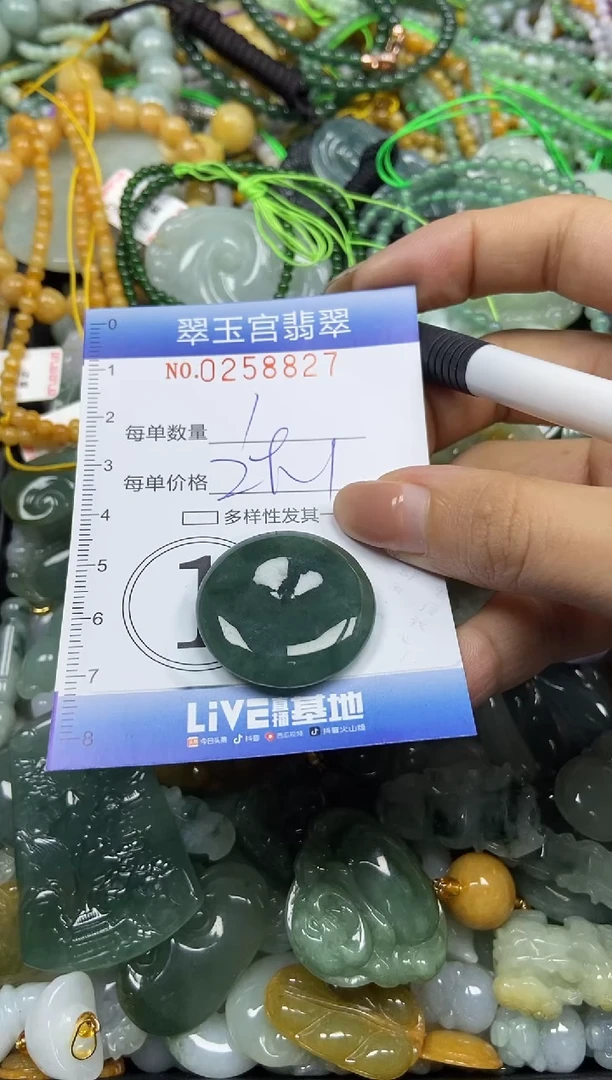 颈饰未镶嵌翡翠闪购C0258827