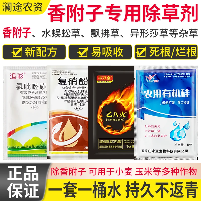正品香附子除草甘蔗田玉米田水稻田果园香附子灭草快速除草农用