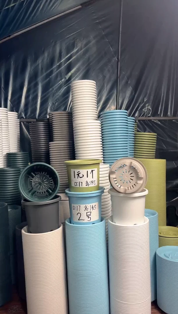 5号四季盆灰白色10个