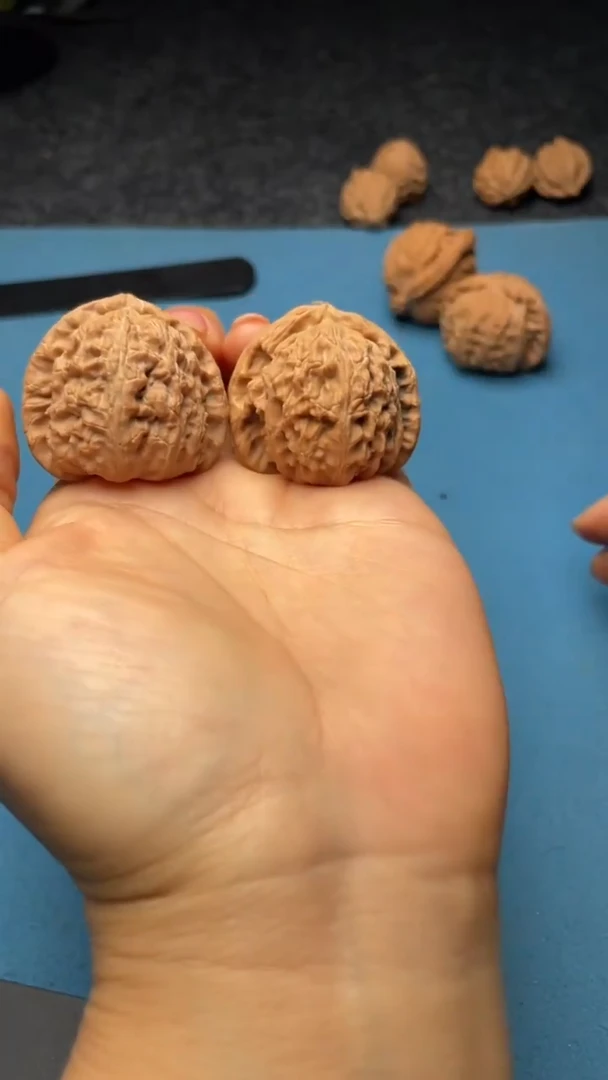 桃核把件w135  白狮子 37尺